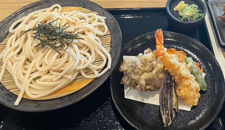 Esoragoto (玄米うどん絵空事)