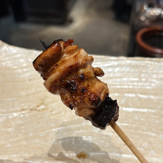 Tori Kago (鳥かご)
