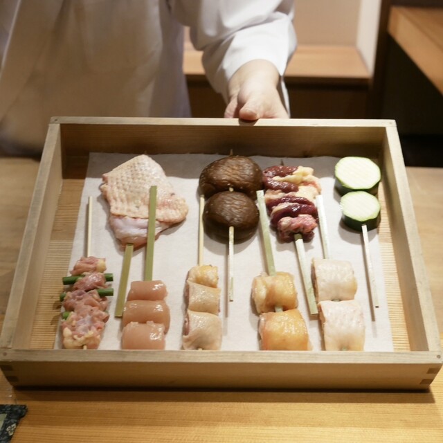 Tori Yamamoto (とり やまもと)