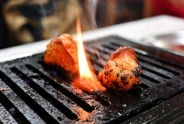 Yakiniku Jingisukan Tsuruya (焼肉ジンギスカン つるや)