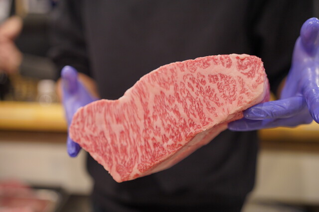 Sumibi Yakiniku Nama Horumon-dokoro Shochan (炭火焼肉生ホルモン処 しょうちゃん)